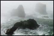 Samuel Boardman State Park, OR 2011